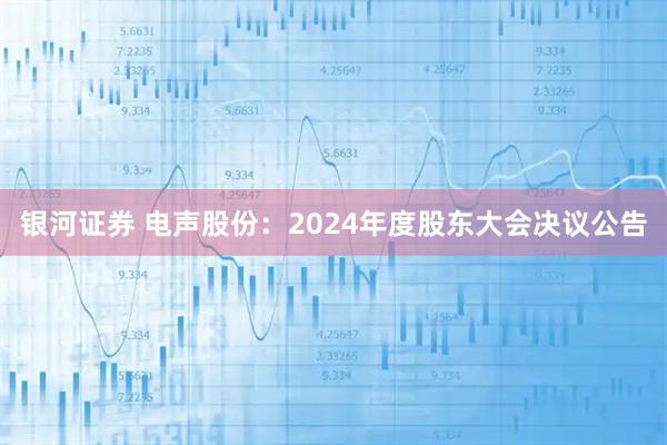 银河证券 电声股份：2024年度股东大会决议公告