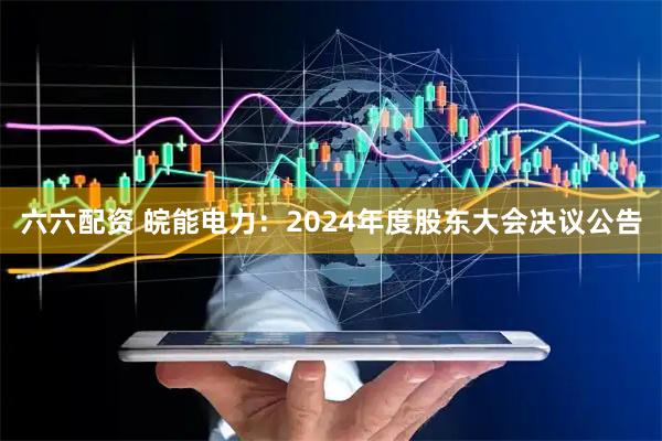 六六配资 皖能电力：2024年度股东大会决议公告